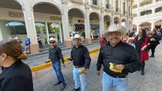 Felicidades a todos los Músicos hoy en el día de Santa Cecilia Procesión Sahuayo Michoacán México [upl. by Shing908]