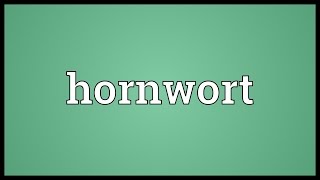 Hornwort Meaning [upl. by Arima]