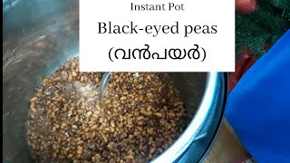 How to cook blackeyed peasവൻപയർ in an instant pot  Instant pot basics  Malayalam [upl. by Inaboy532]