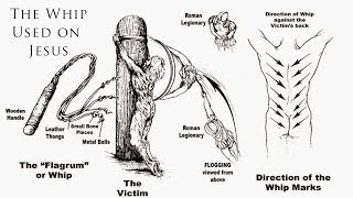 What Did the Whip That Scourged Jesus Look Like [upl. by Arhat]