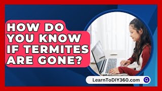 How Do You Know If Termites Are Gone  LearnToDIY360com [upl. by Aniar]