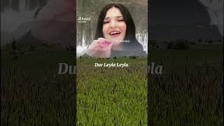 Duy Leyla Leyla [upl. by Assenej]