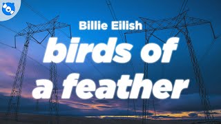 Billie Eilish  BIRDS OF A FEATHER Clean  Lyrics [upl. by Solange]