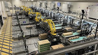 Ep 2  Futureproof robotic palletizing system built for continuous transformation [upl. by Florette]