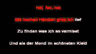 Rammstein  Heirate Mich instrumental with lyrics [upl. by Noiroc]