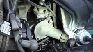 How to replace thermostat Toyota Corolla VVTi engine Years 20002008 [upl. by Boniface]