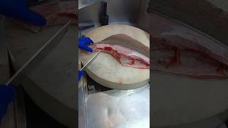 Stingray fish cutting slice skills shorts video cooking [upl. by Notnirb]