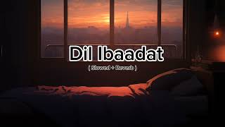 Dil Ibaadat Song  Slowed Reverb 🎵🎶  pritam amp Kk  Sayeed Quadri 🎵🎶 [upl. by Bortz514]