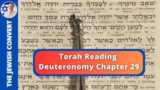 Deuteronomy Chapter 29  Torah Reading in Hebrew with English Translation  TORAH STUDY [upl. by Ebanreb]