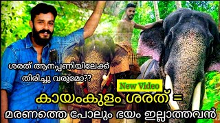 കായംകുളം ശരത്  മരണത്തെ പോലും ഭയം ഇല്ലാത്തവൻ Kayamkulam sarath Olarikkara kalidasan [upl. by Eciruam]