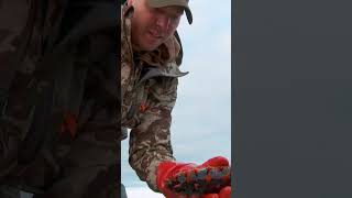 Check out another classic episode of MeatEater now on our channel meateater outdoorchef [upl. by Kinny]