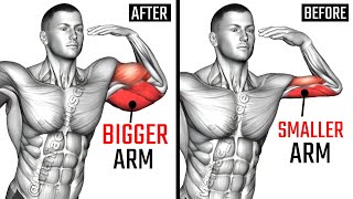 9 The Best Exercise Arm workout WITH DUMBBELL [upl. by Harlie192]