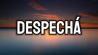 ROSALÍA  DESPECHÁ LetraLyrics  Baby no me llames que yo estoy ocupá olvidando tus males [upl. by Eceined]