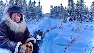 Tanana Yuut Alaska Wolf Trapping  Jan 20 2024 [upl. by Akeemaj432]