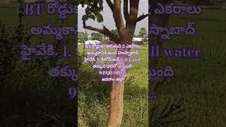 జనగామజిల్లాకి 23km దూరంలో 135 గుంటలు అమ్మకానికి ఉందిsjrealestatejanagaon9492049012 శ్రీనివాస్ [upl. by Noscire426]