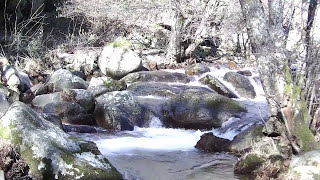 Sonidos de agua rios y arroyos Musica relajante de la naturaleza HD [upl. by Dalston]