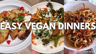 Easy Vegan Dinner Ideas Trader Joes Haul  Smashed Tacos Sheet Pan Dinner Udon Noodle Recipe [upl. by Sahpec]