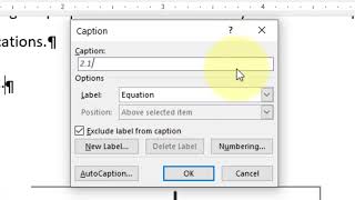 How to put auto numbering to equations in MS Word [upl. by Nyleimaj]