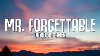 David Kushner  Mr Forgettable Lyrics quothello hello are you lonelyquot [upl. by Biel]