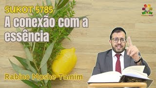 Sukot 5785  A conexão com a essência  Rabino Moshe Tamim  Hidabroot Brasil 2024 [upl. by Esydnac856]