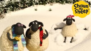 Shaun the Sheep 🐑 Chill with Shaun  Cartoons for Kids 🐑 Full Episodes Compilation 1 hour [upl. by Fital]