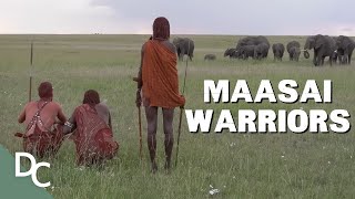 A Look Inside The Last Great Warrior Tribe  The White Maasai Warrior  Documentary Central [upl. by Nainatrad]