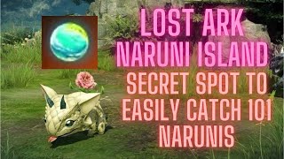 Lost Ark Naruni Island Guide Easily Catch 101 Narunis [upl. by Inoy]