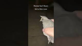 Bird screaming meme trending [upl. by Buine]