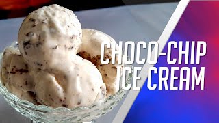 ChocoChip Ice Cream Easiest [upl. by Revart]