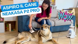 IL CANE E IN MUTA PROVIAMO NEAKASA P2 PRO [upl. by Yrgoerg]