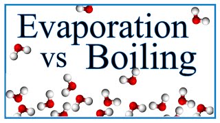 Boiling vs Evaporation Definition Examples amp Explanation [upl. by Gasper]