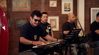 Ricitos Gold  Vibrass on Board Session [upl. by Bard]