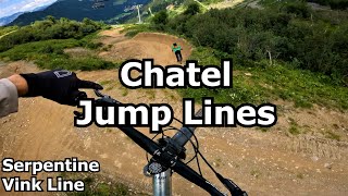 The Best Jumps and Flow  Chatel Bike Park [upl. by Dulcinea48]