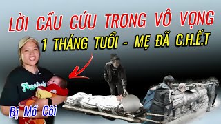 EM ĐÀO  CHƯA LÚC NÀO quotBI ĐÁTquot HƠN LÚC NÀY  ĐẺ 1 THÁNG MẸ ĐÃ CHẾT Tập2 [upl. by Reivaxe]