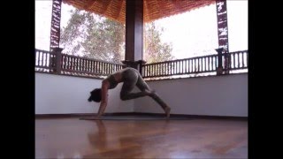 Short 15 min Vinyasa Flow Yoga class  scaravelli inspired embodied yoga [upl. by Anilem]