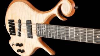 5 String Bass  TwoHand Tapping with Delay  Xylem Basses [upl. by Wickham136]