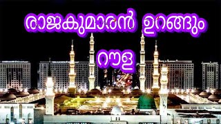 രാജകുമാരൻ ഉറങ്ങും റൗളsumiscornerviral trending lovemalayalamsong beautiful viralvideo trend [upl. by Datnow]