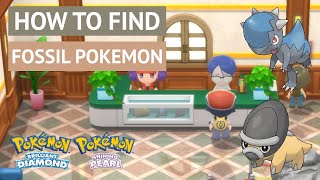 How to find fossils in Pokémon Brilliant Diamond and Shining Pearl Cranidos and Shieldon [upl. by Tiffani]