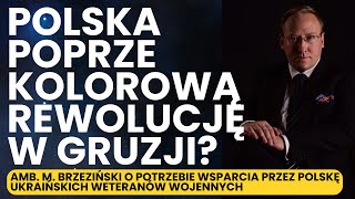 924 Czy Polska poprze kolorową rewolucję w Gruzji  USA Polska musi wesprzeć weteranów z Ukrainy [upl. by Amathist]