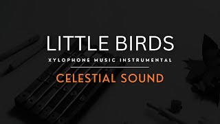 Little Birds  Celestial Sound Xylophone Music Instrumental [upl. by Sivart]