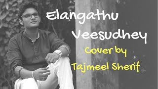 இளங்காத்து வீசுதே  Elangathu  Reprise Version by Tajmeel Sherif  IlayaRaja  Pithamagan [upl. by Llenil]