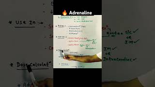 How to Administer🔥Adrenaline Injection Epinephrine Emergency AdrenalineInjection NursingSkills [upl. by Hetty87]