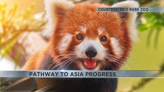 Reid Park Zoo made progress on construction of Pathway to Asia [upl. by Ginnie]