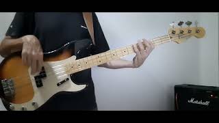 Amr Diab  Amell Eh  Bass Cover [upl. by Boris]