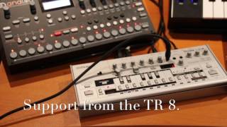 Creating polyrhythmic patterns with the TB03 and Analog4 Happy 303 Day [upl. by Irrep]