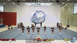 Mountain Cup 2024  46  Winterthur Warriors Cheerleader  Warriors Gems  Primary Cheer  L1 [upl. by Holsworth]