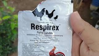 Respirex para prevenir enfermedades respiratoria [upl. by Roderic160]