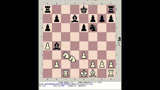 Huber Martin vs Sadler Matthew D  Bad Wildbad Chess Open 6th 1990 Germany [upl. by Restivo]