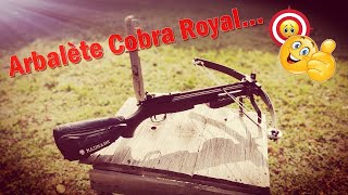 Fusil Arbalète Cobra Royal 120lb [upl. by Nedloh]