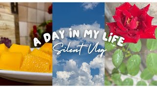 A day in my life ☕️  Back Home  pakistani silent vlog  My First vlog [upl. by Lemon]